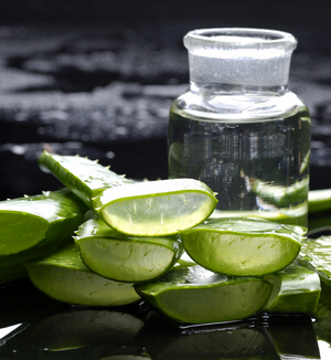 芦荟胶的作用 芦荟胶祛痘美白更防晒