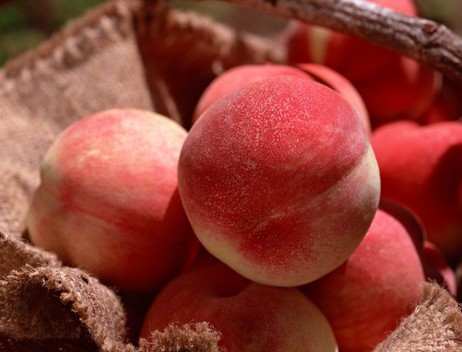 水果的功效与作用 10种食物媲美顶级护肤品