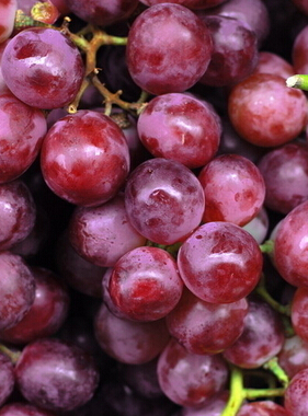 吃什么对皮肤好 夏季美容护肤食物