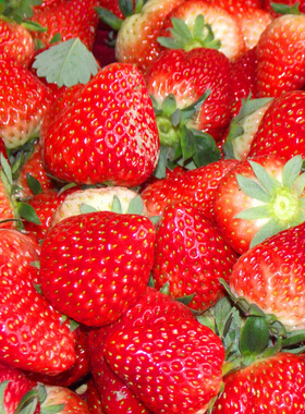 吃什么水果对皮肤好 春季8种美白护肤水果