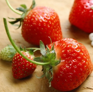 蓝莓的功效与作用 盘点5类 莓 水果功效