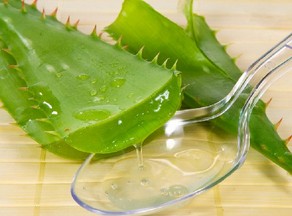 芦荟胶的功效与作用 天然芦荟护肤5大功效