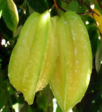 长斑了怎么办  7种水果让你恢复白暂脸蛋