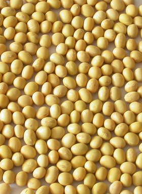 如何美白肌肤 夏季美白肌肤的方法