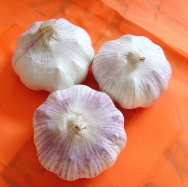 美容养颜的食物 4大臭味食物美容养生效果好