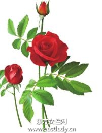 玫瑰花疏肝解郁提亮肤色