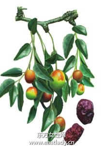 红枣养血安神抗衰老