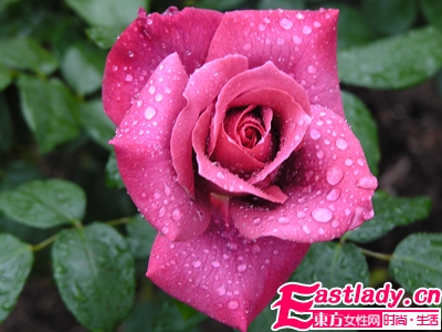 国医汉方美人秘诀 轻松打造无粉黛草本美人