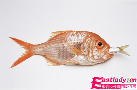 吃出好皮肤 5种对皮肤最有益食物