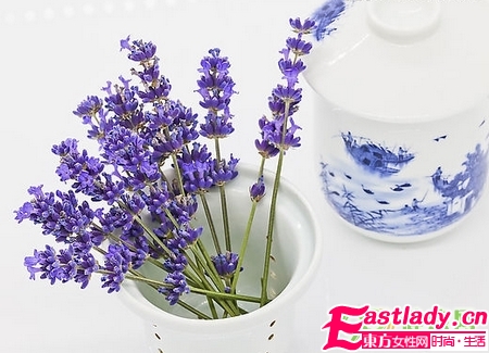 电脑族怎么养颜护肤 必喝的8种茶