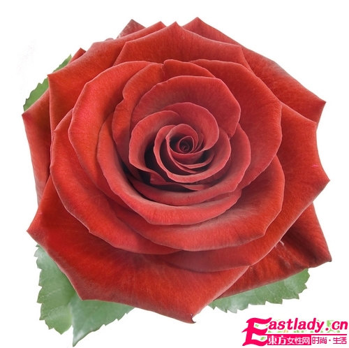 玫瑰花制作3种美容养颜品 吃喝用俱全