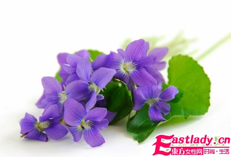 电脑族怎么养颜护肤 必喝的8种茶