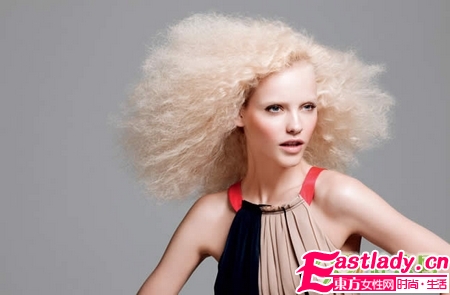 29款造型 圣诞随心变