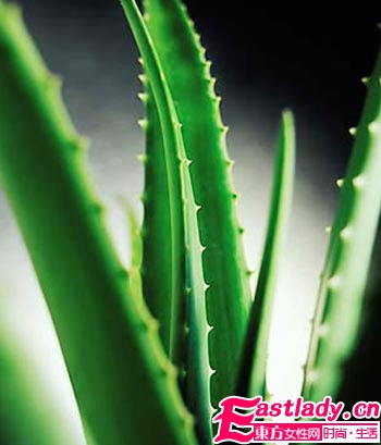 不同发质适合什么洗发水