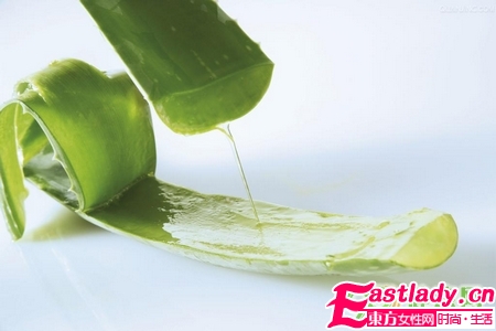 芦荟美容 美白祛斑祛痘护唇