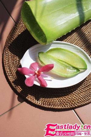 芦荟美容 美白祛斑祛痘护唇