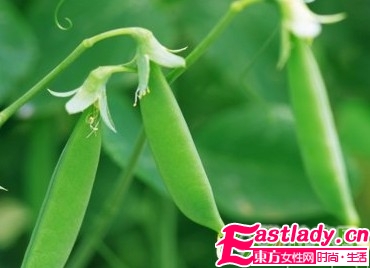 夏季9种蔬菜防晒美白