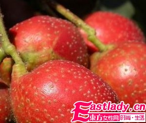 冬季必吃的几种保湿水果