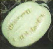 皮肤缺水表现 如何保湿