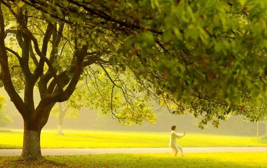 晨练的最佳时间和好处 让我们离健康更进一步