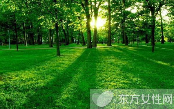 长期久坐的危害 3个小动作让你轻松对抗久坐