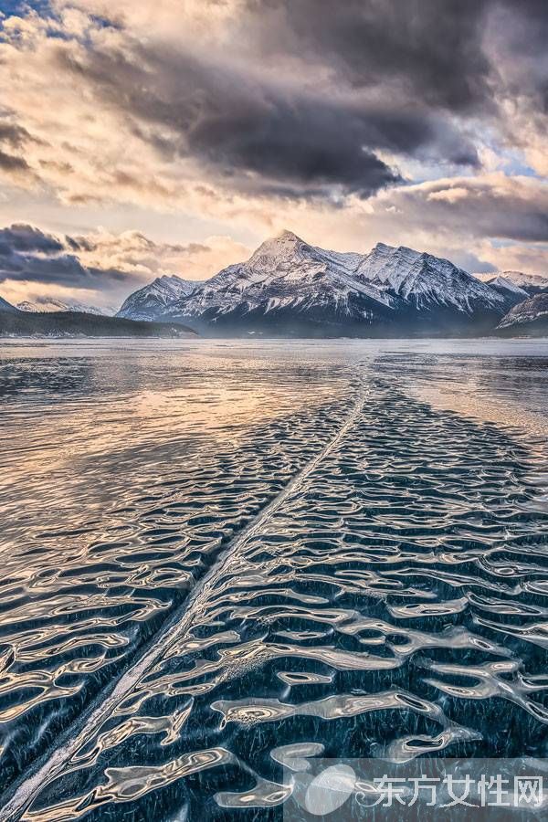 春季上火怎么办 这些降火的食物做法大家记住了吗