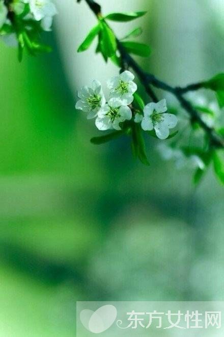 胆结石早期的症状 胆结石又是什么原因导致