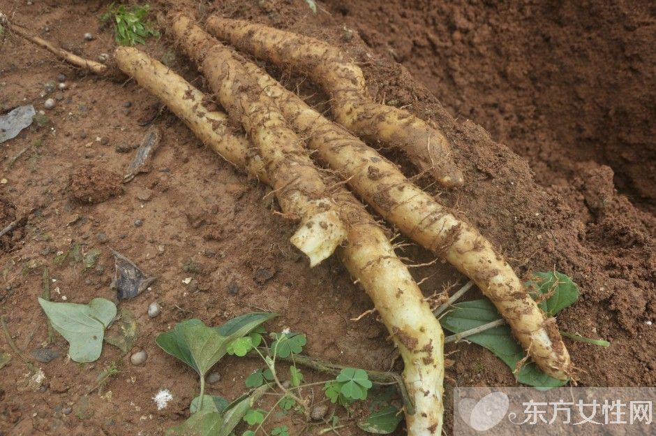 肝囊肿是怎么回事 肝囊肿的生活保健