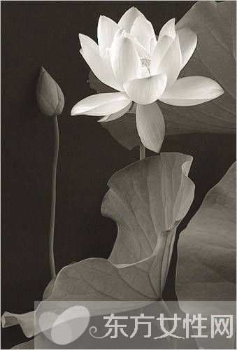 类风湿和风湿有什么区别 治疗的方式是不是截然不同的