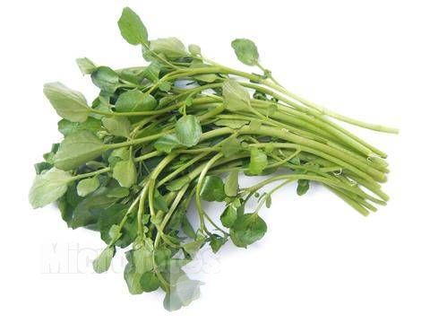 西洋菜的禁忌有哪些 它都有哪些功效与作用