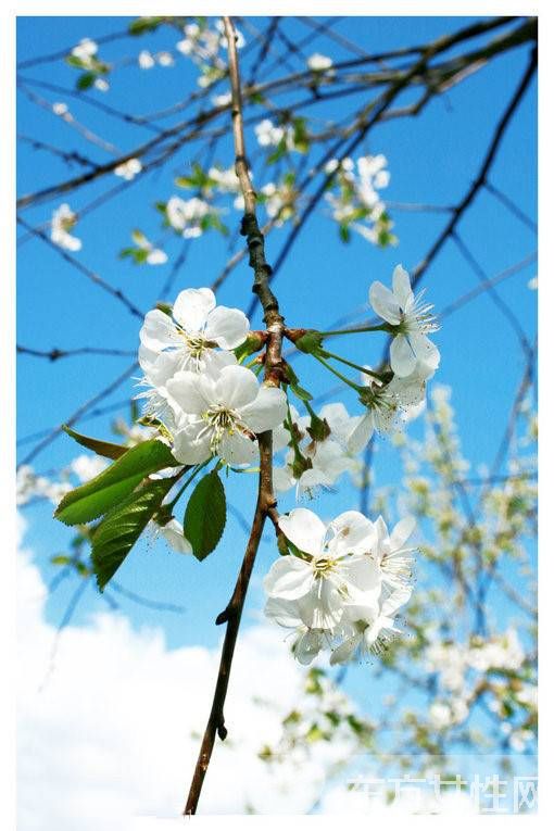 胆结石早期的症状 胆结石又是什么原因导致
