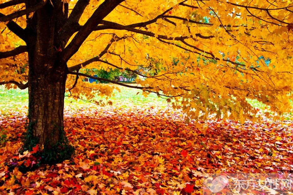 痛风偏方有哪些 如何在日常饮食中做好预防