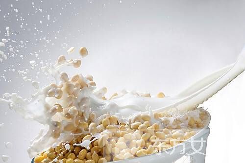 花式豆浆养人又养胃 7种花式豆浆你值得拥有