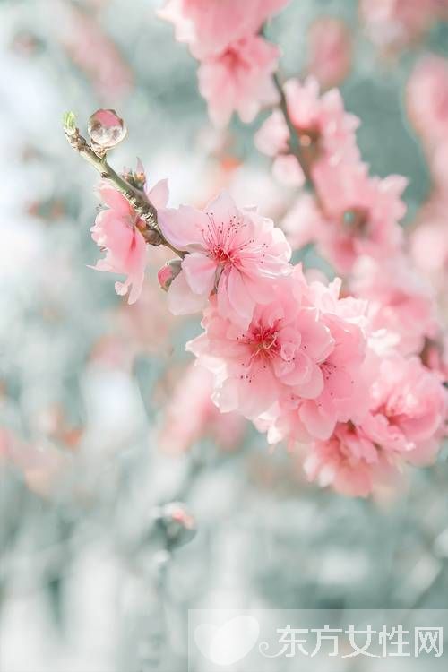 胆结石早期的症状 胆结石又是什么原因导致