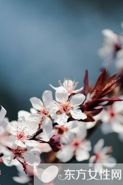 春季养肝食谱 多吃这些让你健康一整年