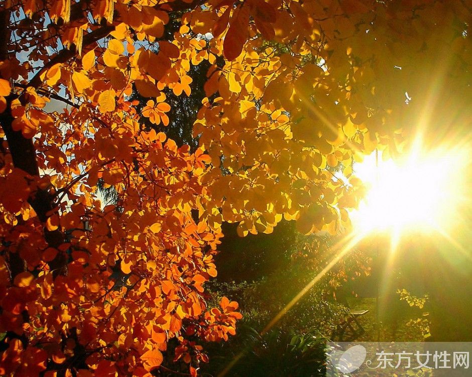 经常熬夜吃什么好 什么食物才能缓解眼疲劳