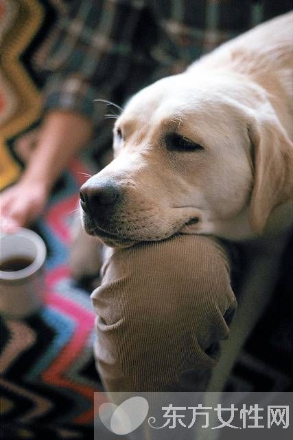 偏瘫患者饮食要注意哪些 该怎么预防及预后