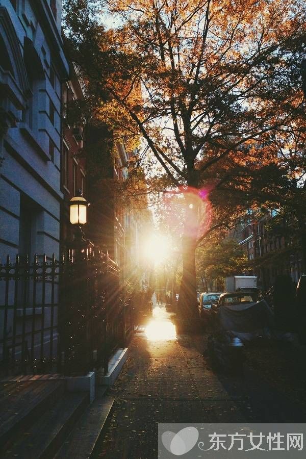 类风湿病吃什么好 栗子适用于类风湿肾虚