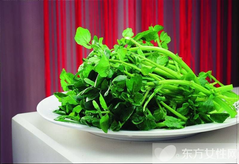 西洋菜的禁忌有哪些 它都有哪些功效与作用