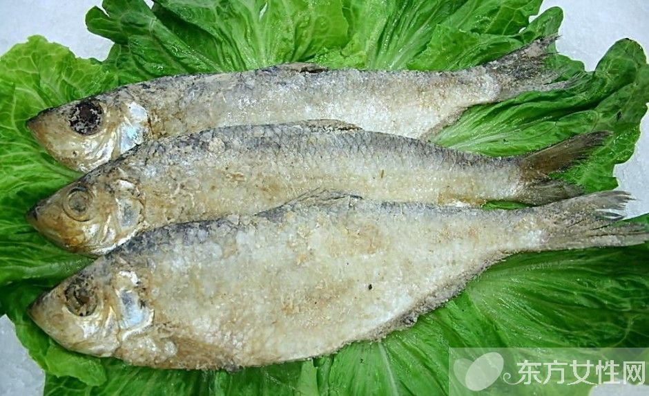 高脂血症的危害有哪些 高脂血症的六大饮食