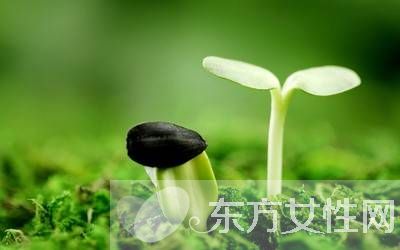 如何防御禽流感 别慌把这些办法牢记在心