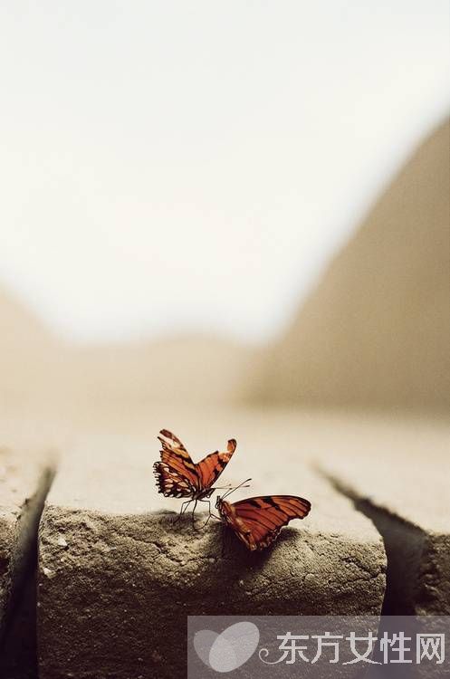 类风湿和风湿有什么区别 治疗的方式是不是截然不同的