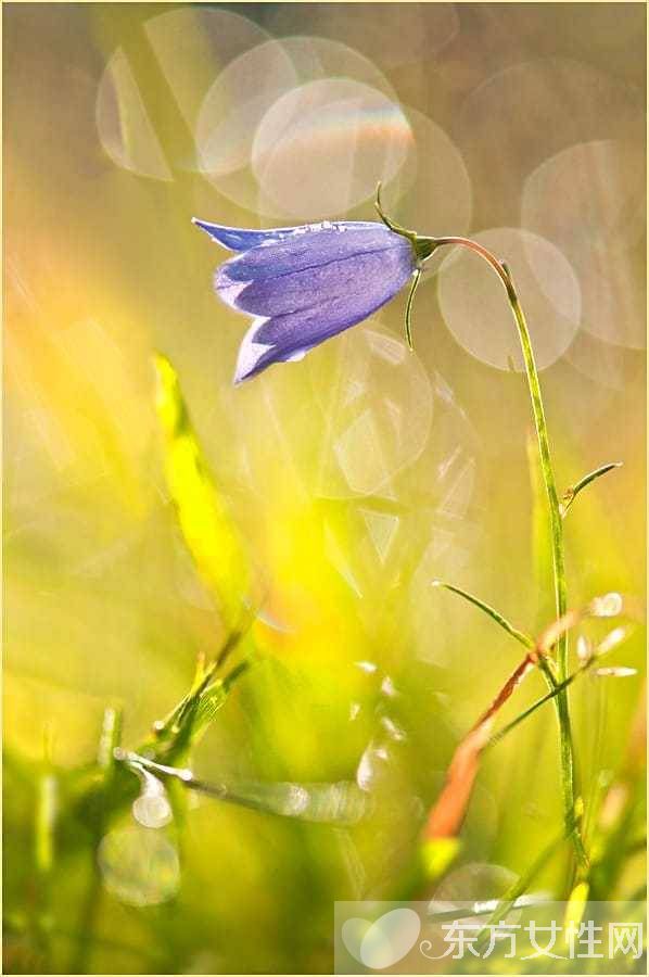 花粉过敏该如何预防 6招让远离过敏痛苦