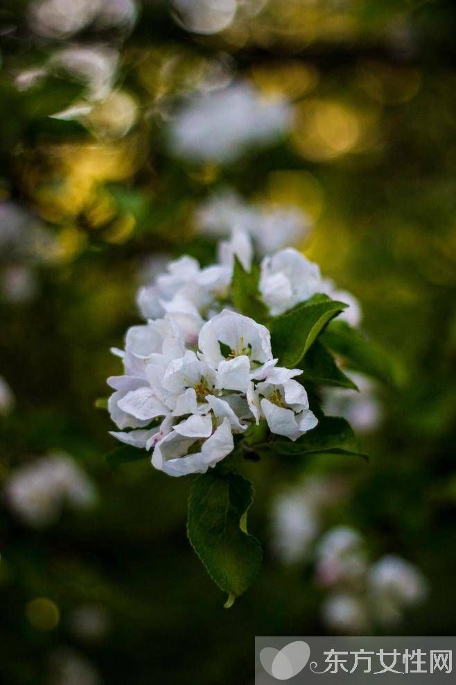 花粉过敏该如何预防 6招让远离过敏痛苦
