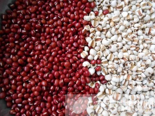 红豆薏米这样吃能减肥 它有哪些禁忌呢