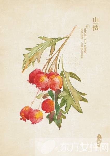 吃山楂的禁忌有哪些 千万别吃了山楂又吃这些