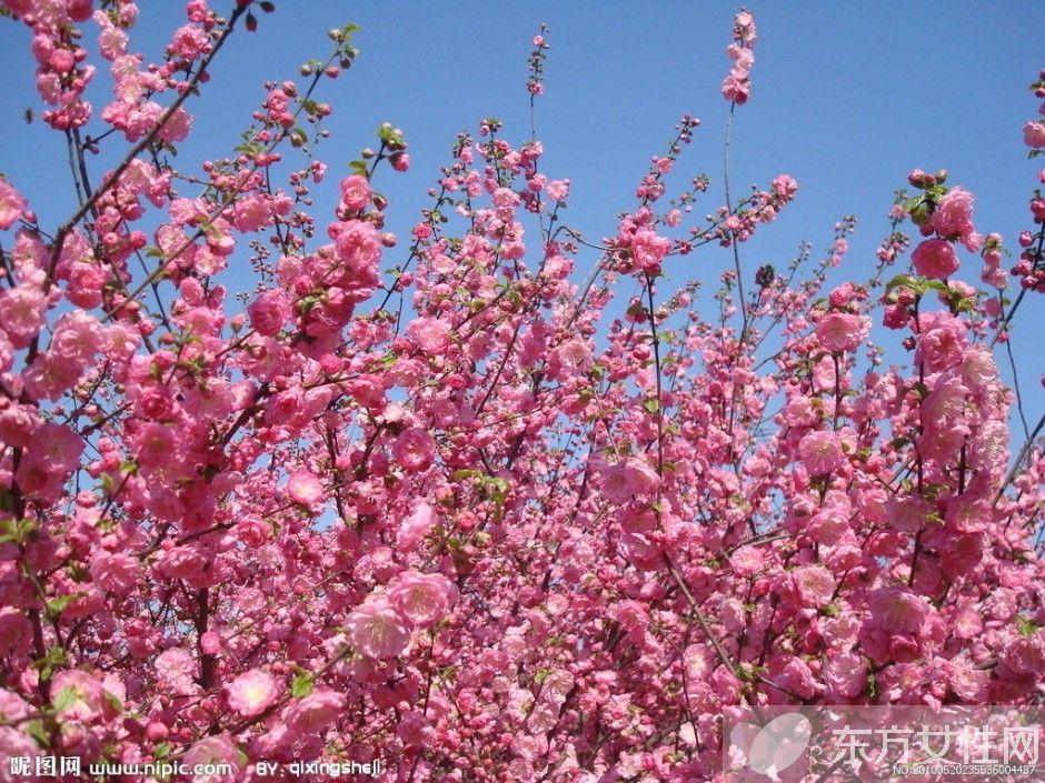 春困怎么办 学会这些小妙招完胜春困