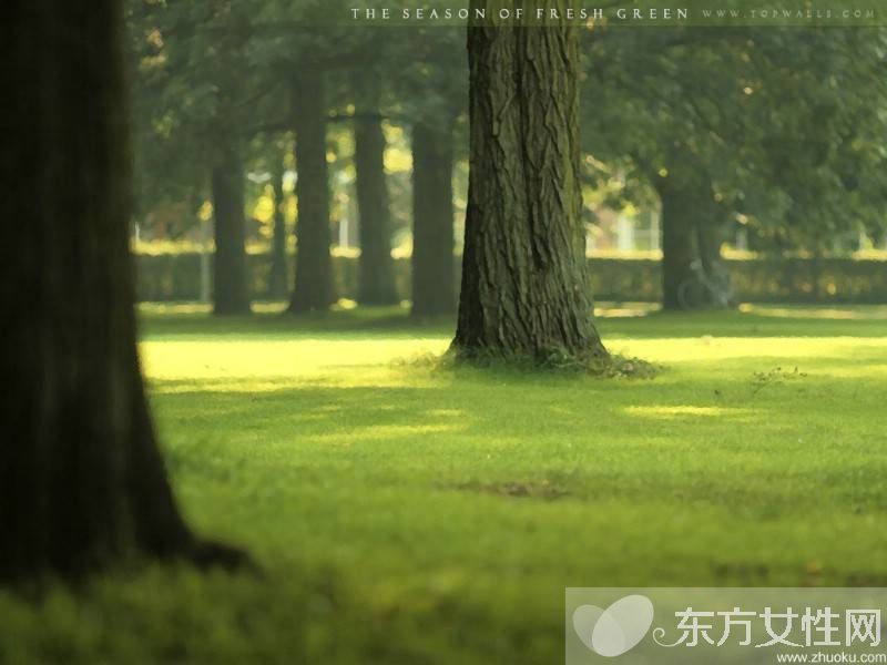 该如何预防癌症 记住这几点远离癌症