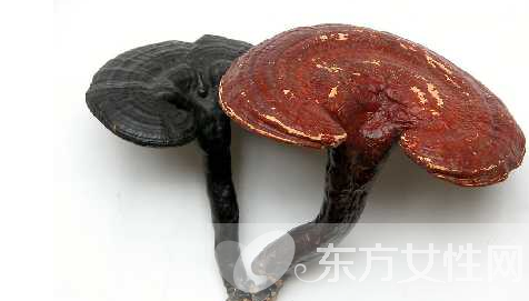 高脂血症的危害有哪些 高脂血症的六大饮食