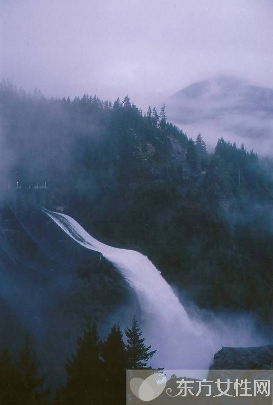 春季上火怎么办 这些降火的食物做法大家记住了吗